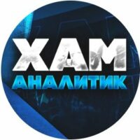 Хам Аналитик