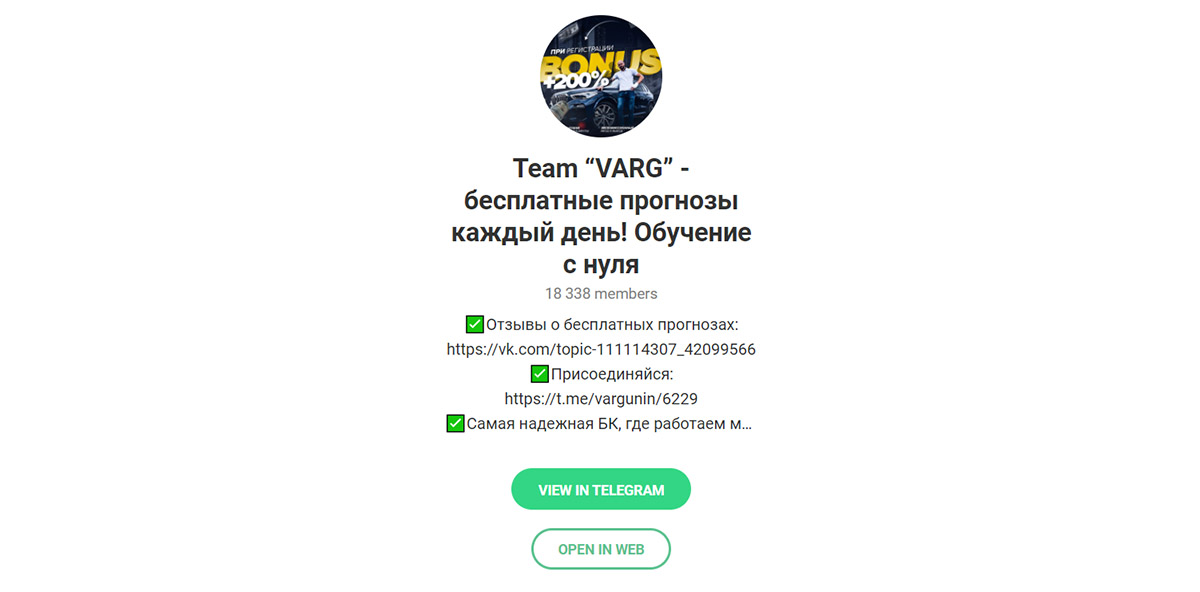 Телеграм канал каппера Варгунина проект Team Varg