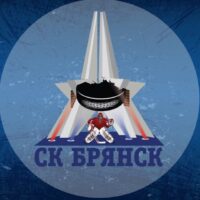 Хоккеист с Брянска