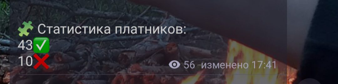 565stavit статистика