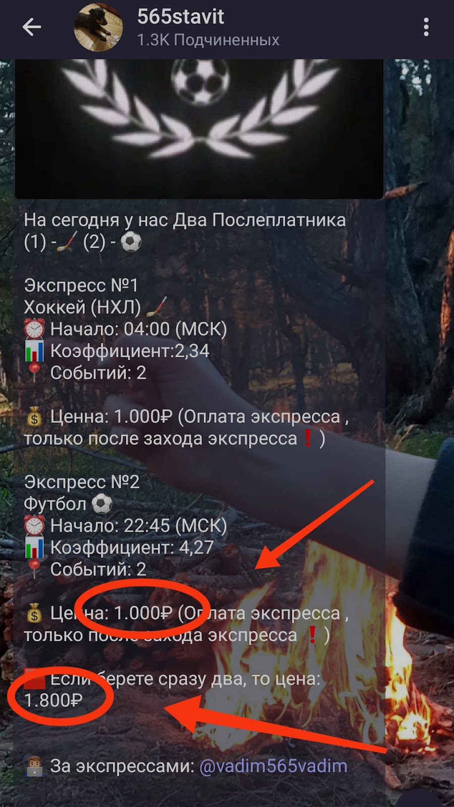 565stavit в тлегерамм