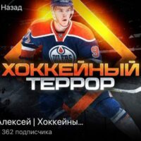 Алексей Хоккейный террор