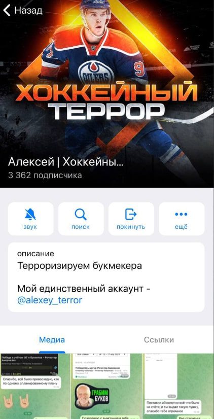 Алексей Хоккейный террор телеграмм