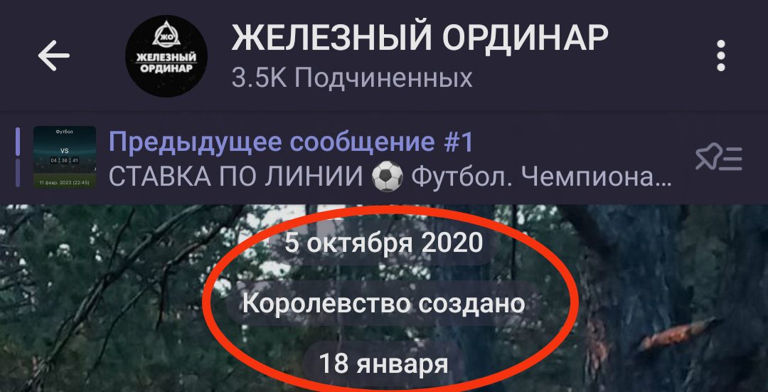 Дата создание канала Железный ординара