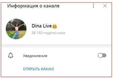 Dina Investments телеграмм