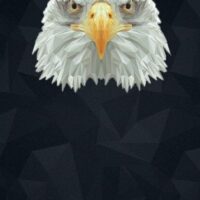 eagle bet отзывы темирлан камалов отзывы