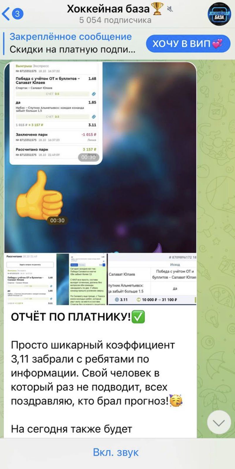 Хоккейная база отчет