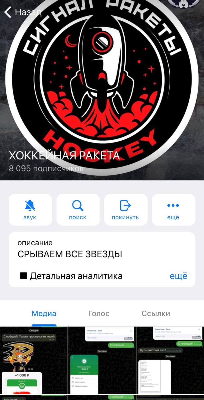 ХОККЕЙНАЯ РАКЕТА в телеге