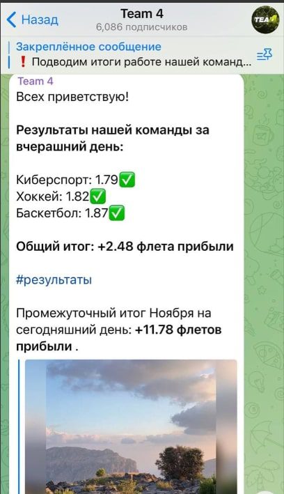 Team 4 ― статистика