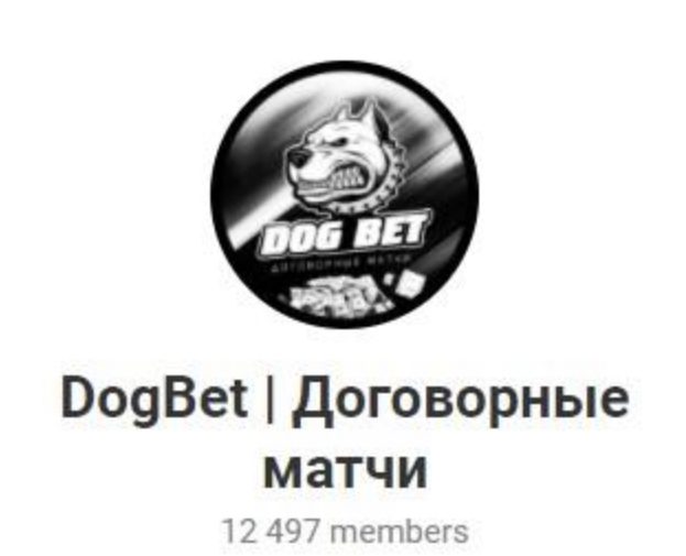 DogBet | договорные матчи Телеграмм