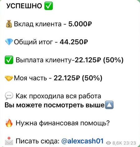 Алексей Визнигаев - отчет