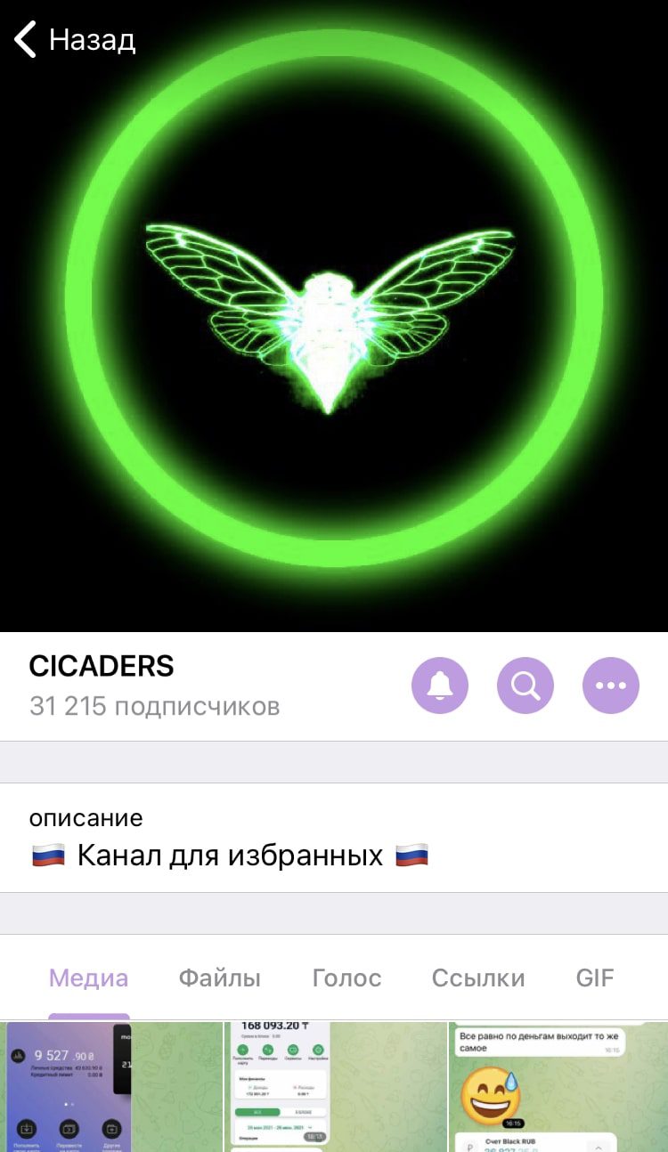 Cicaders - Телеграмм канал