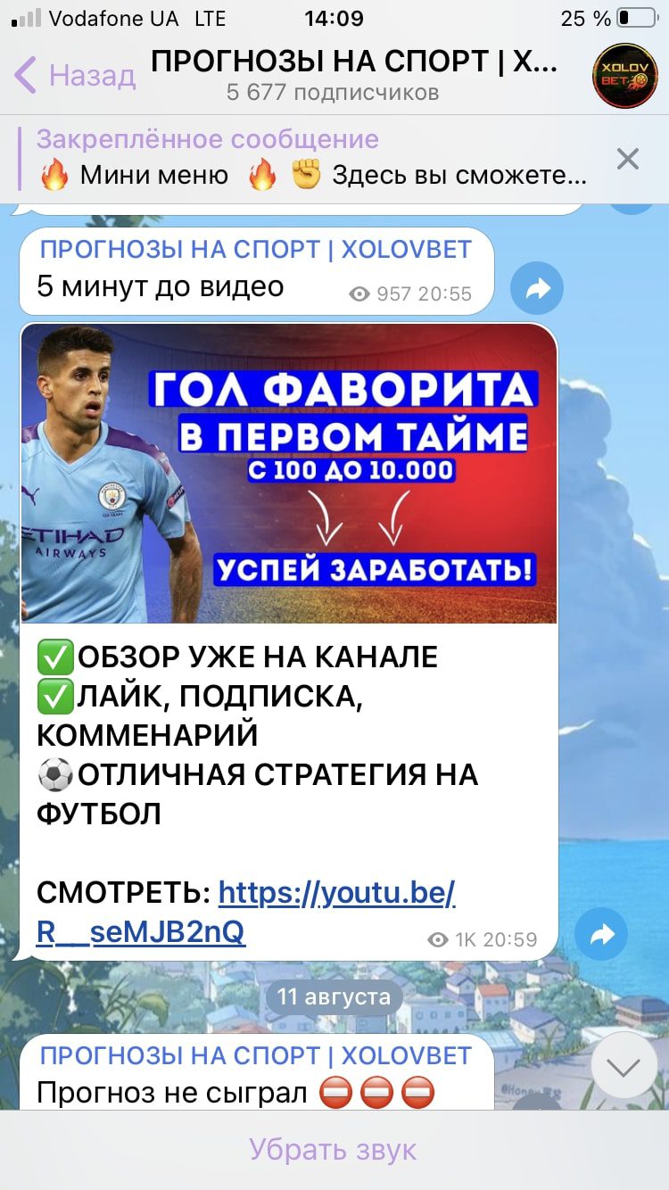 Деятельность каппера Xolovbet