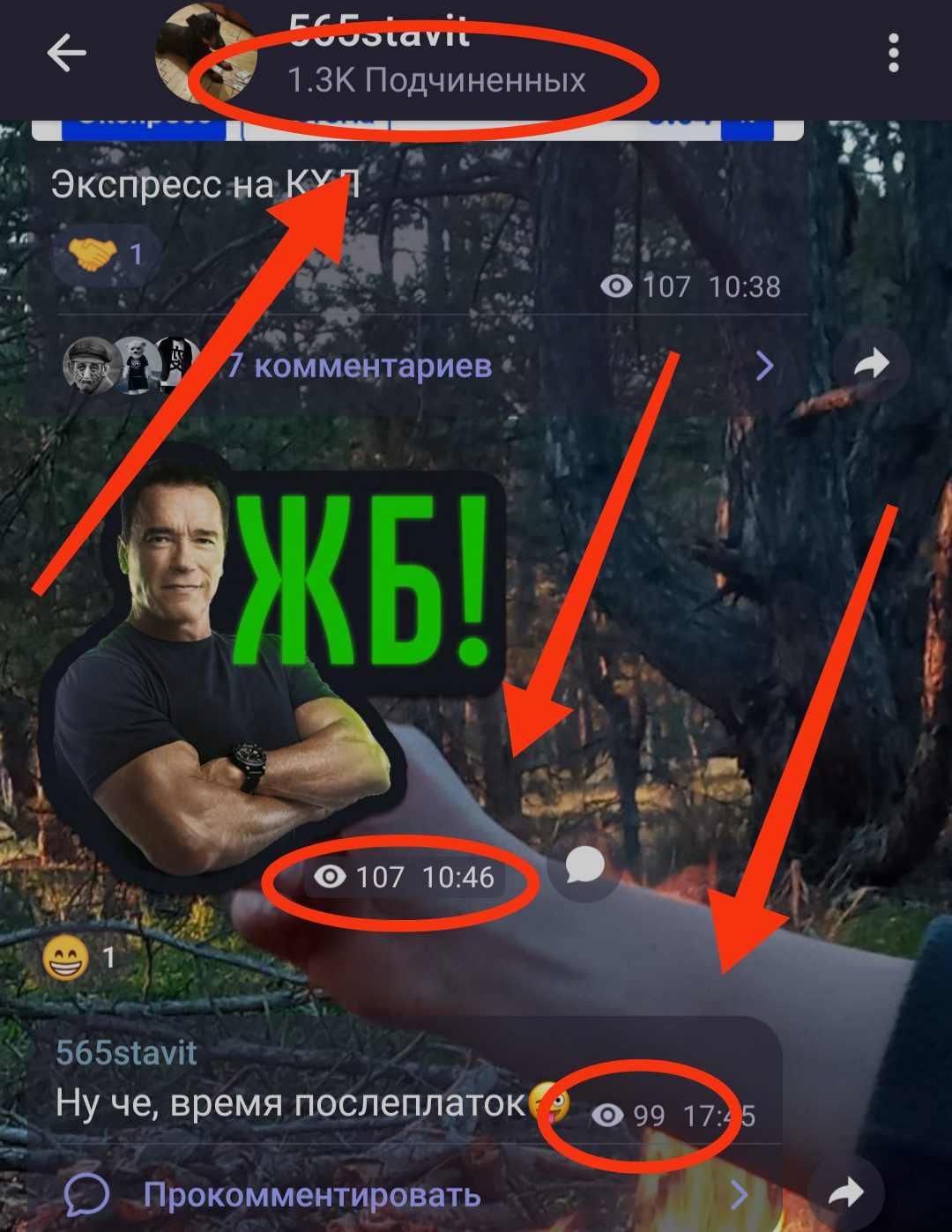 Канал 565stavit