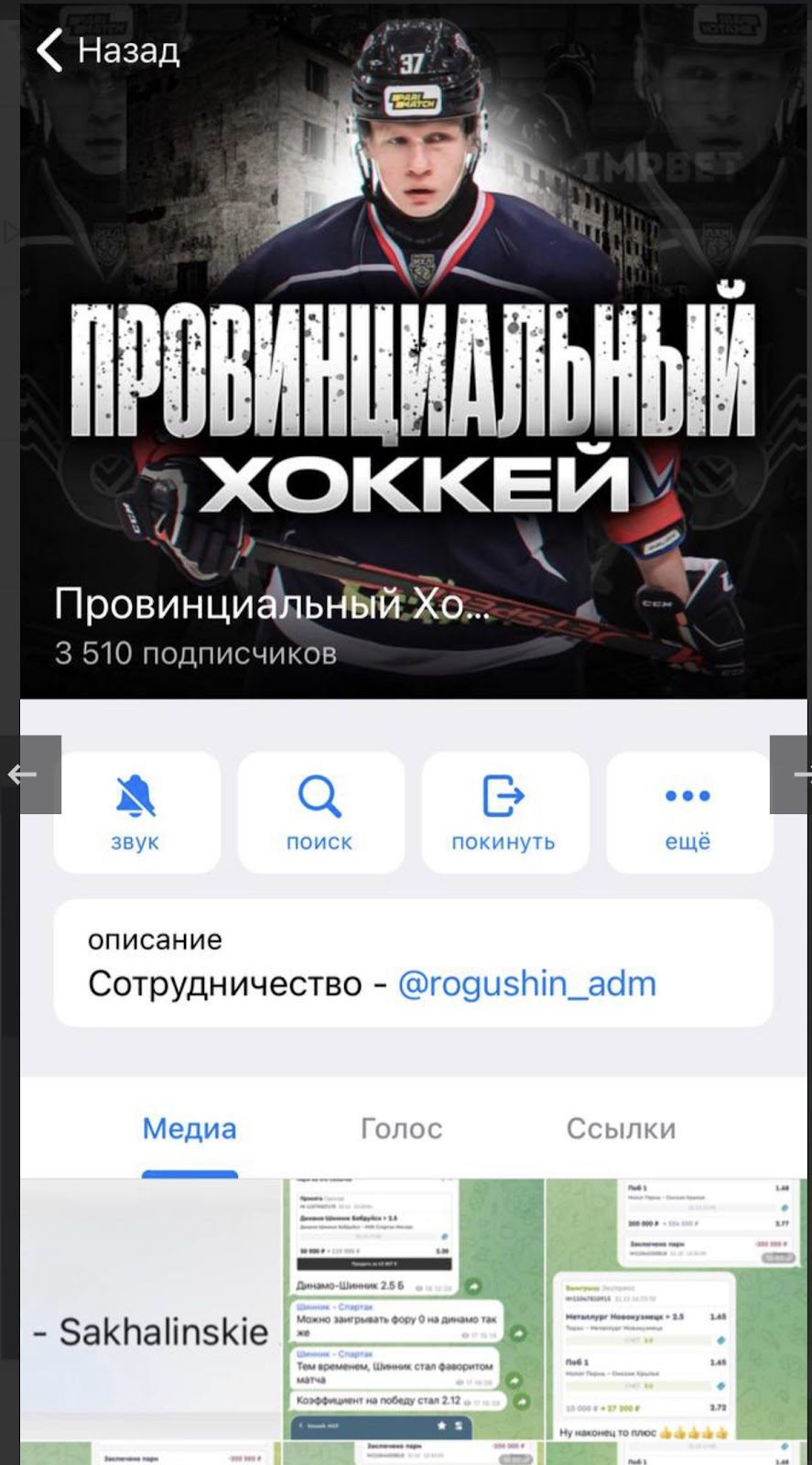 Каппер Провинциальный Хоккей