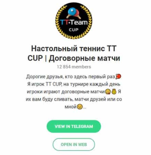 Фото канала Настольный теннис TT CUP в Телеграмме