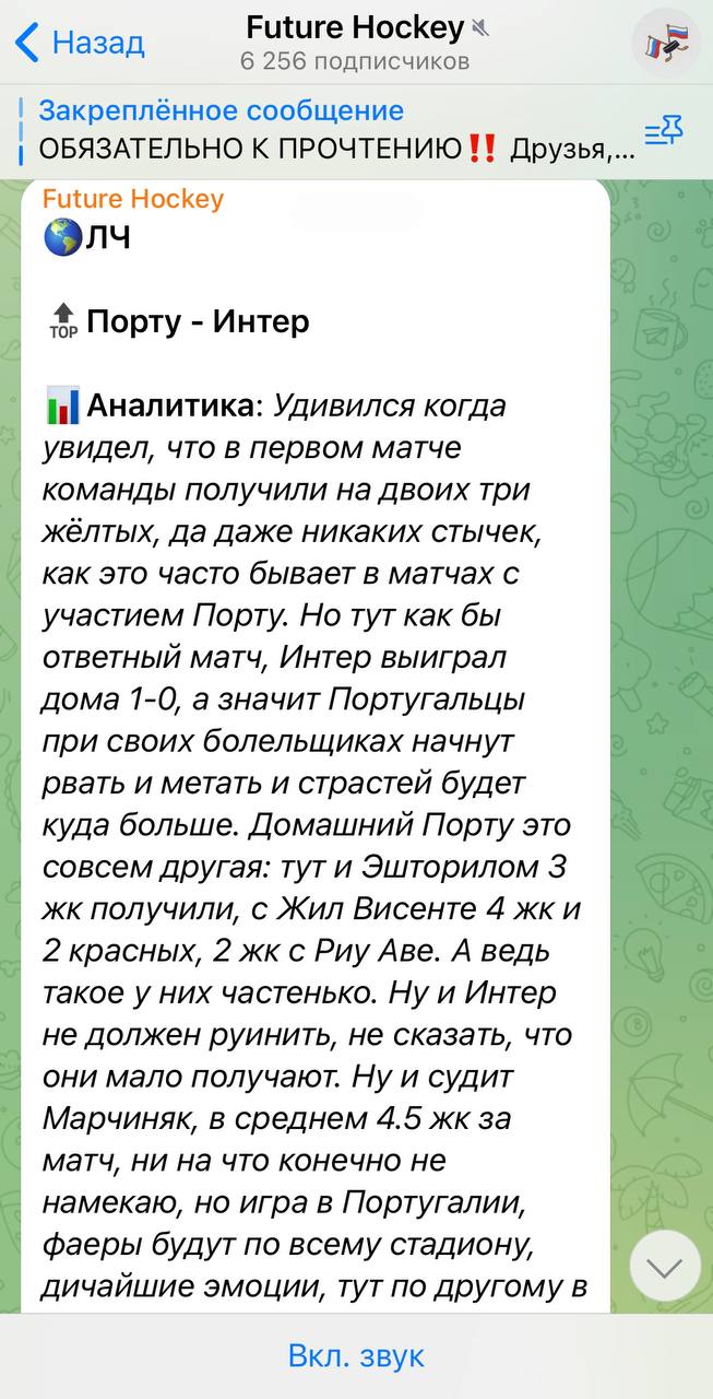 Проект Future Hockey
