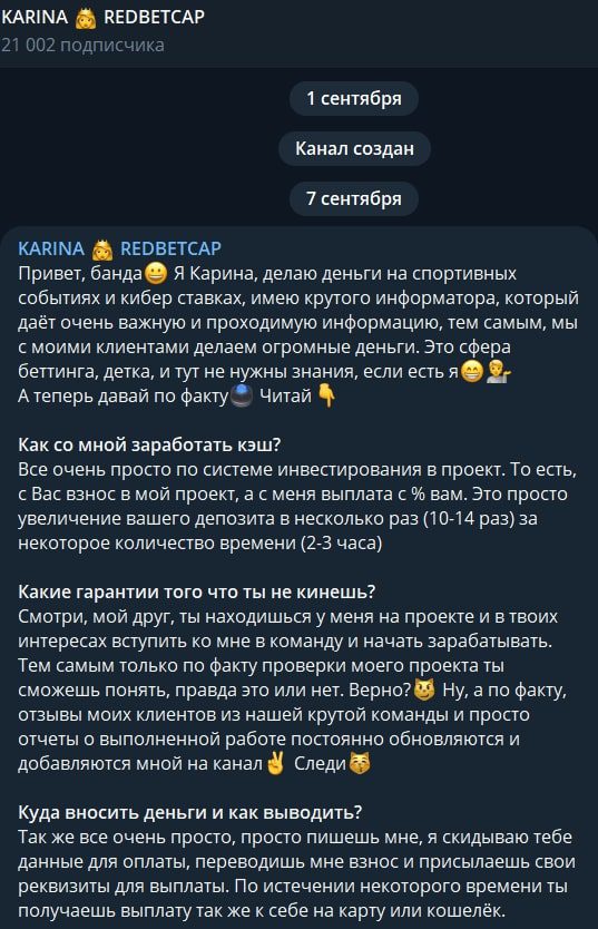 Проект Karina Redbet
