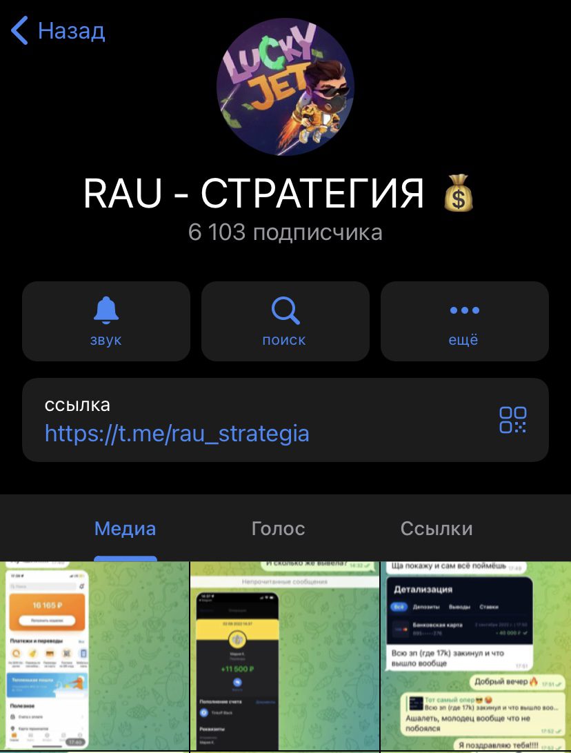 Проект Rau Стратегия