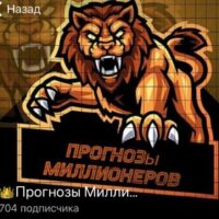 Прогнозы Миллионеров