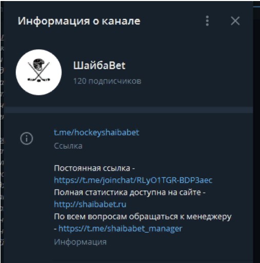 шайбабет информация о канале