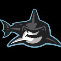 Отзывы о букмекерской конторе Shark-Bet.com