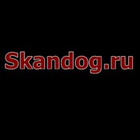 Отзывы о сайте Skandog.ru