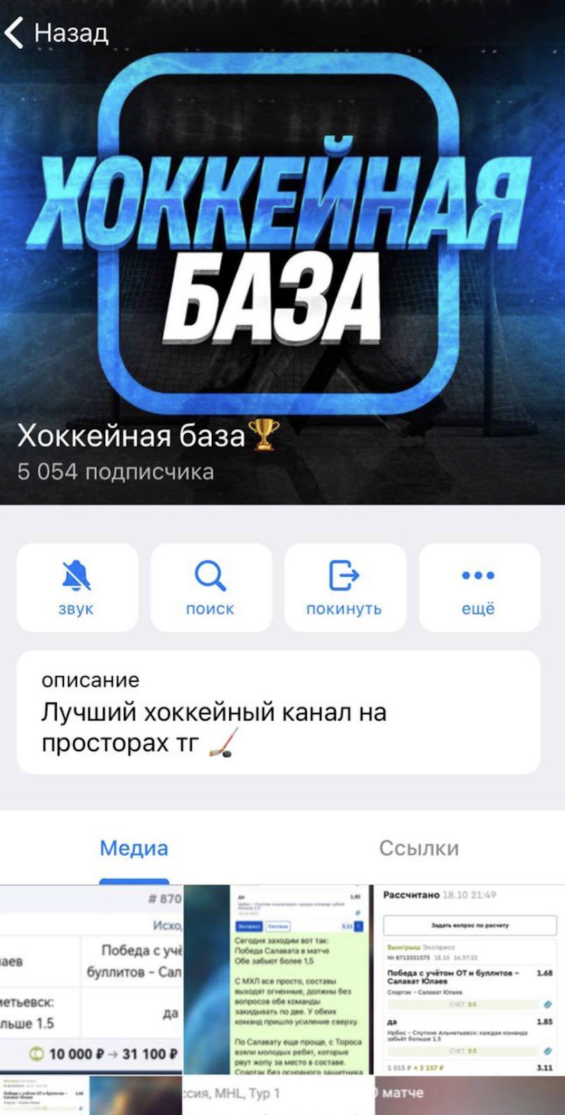 Телеграмм канал Хоккейная база