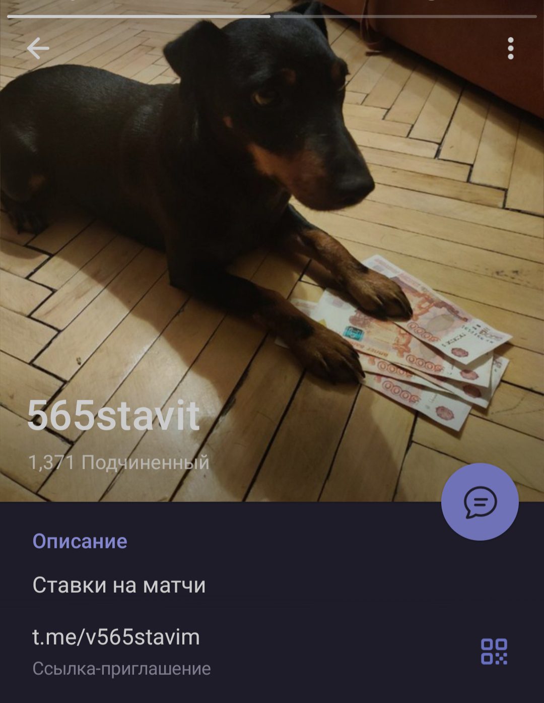 Телеграмм 565stavit