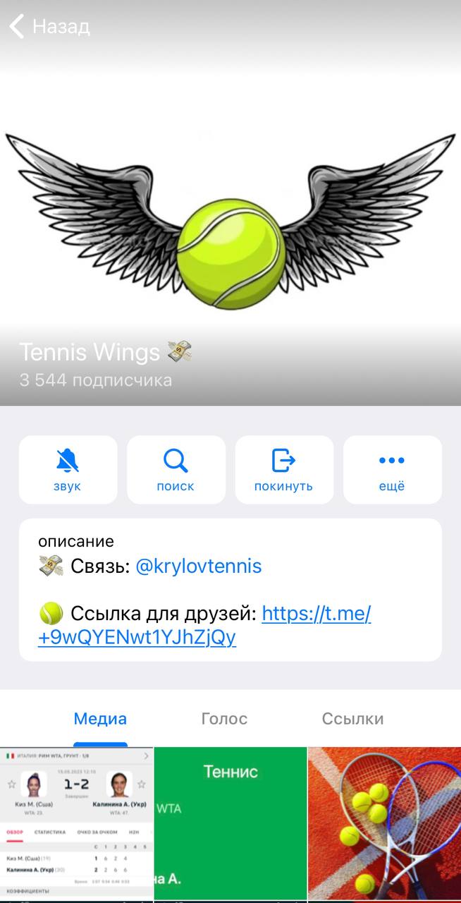 Tennis Wings телеграмм