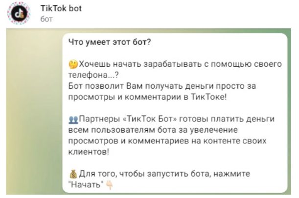 Телеграм-бот TikTok bot
