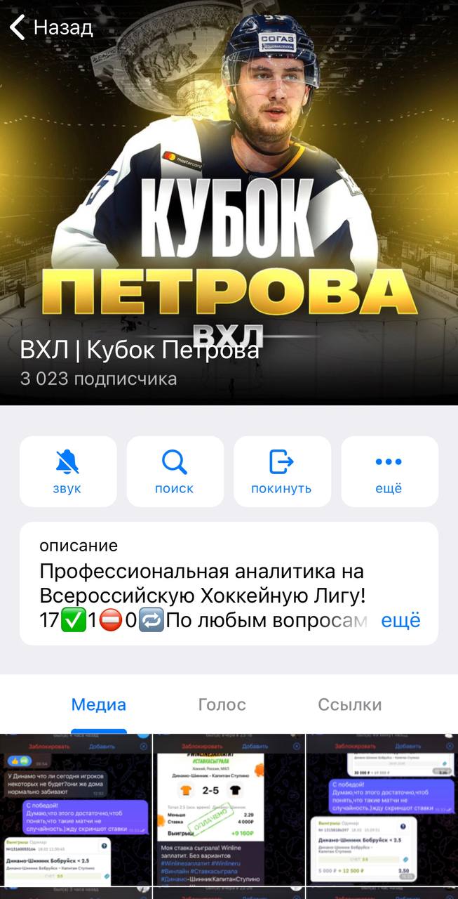 ВХЛ Кубок Петрова