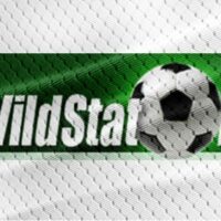 Отзывы о Wildstat.ru