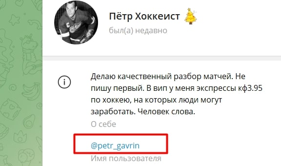 Петр Гаврин телеграм