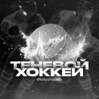Теневой хоккей