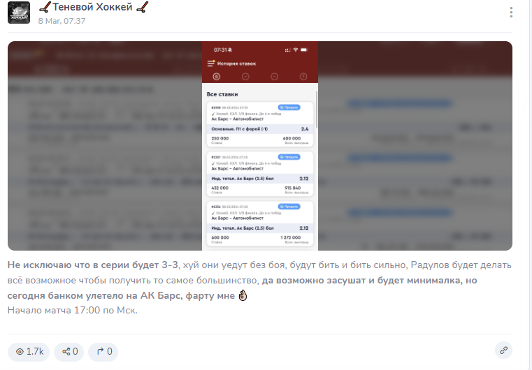 теневой хоккей отзывы
