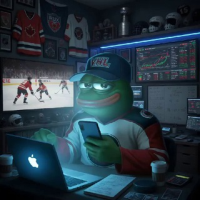 Чики И Шайба ®